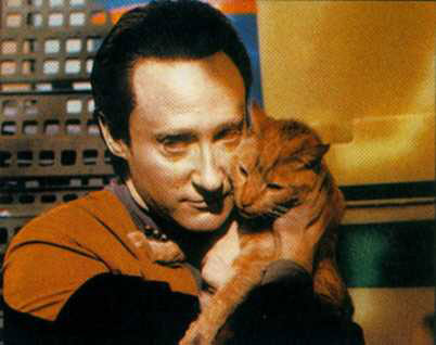 data-cat-2