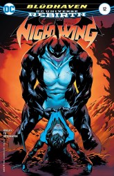nightwing12