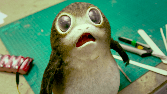 Porgs Suck 01