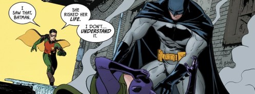 Robin Janin Panel 01