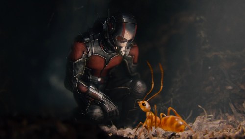 Infinity Saga Ranking 13